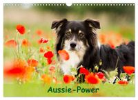 Buch Cover Aussie-Power (Wandkalender 2024 DIN A3 quer), CALVENDO Monatskalender