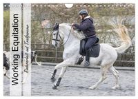 Buch Cover Working Equitation (Wandkalender 2025 DIN A4 quer), CALVENDO Monatskalender