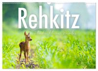 Buch Cover Rehkitz - Flinke kleine Bambis. (Wandkalender 2025 DIN A3 quer), CALVENDO Monatskalender