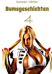 Buch Cover Bumsgeschichten 4