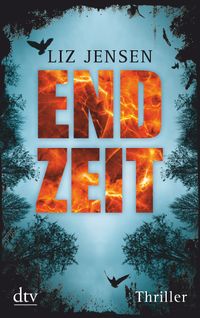 Buch Cover Endzeit