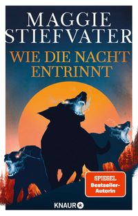 Buch Cover Wie die Nacht entrinnt