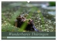 Buch Cover Wunderbares Thüringen - Gewässer (Wandkalender 2025 DIN A3 quer), CALVENDO Monatskalender