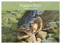 Buch Cover Faszination Angeln und Fischen (Wandkalender 2025 DIN A2 quer), CALVENDO Monatskalender