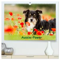 Buch Cover Aussie-Power (hochwertiger Premium Wandkalender 2025 DIN A2 quer), Kunstdruck in Hochglanz