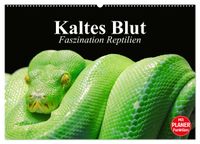 Buch Cover Kaltes Blut. Faszination Reptilien (Wandkalender 2025 DIN A2 quer), CALVENDO Monatskalender