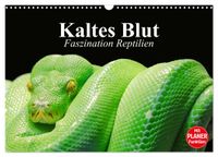 Buch Cover Kaltes Blut. Faszination Reptilien (Wandkalender 2025 DIN A3 quer), CALVENDO Monatskalender