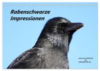 Buch Cover Rabenschwarze Impressionen - meike-ajo-dettlaff.de via wildvogelhlfe.org (Tischkalender 2025 DIN A5 quer), CALVENDO Monatskalender