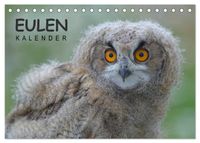 Buch Cover Eulen-Kalender (Tischkalender 2025 DIN A5 quer), CALVENDO Monatskalender