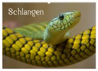 Buch Cover Schlangen (Wandkalender 2025 DIN A2 quer), CALVENDO Monatskalender