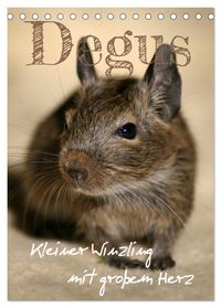 Buch Cover Degus - Winzlinge mit großem Herz (Tischkalender 2025 DIN A5 hoch), CALVENDO Monatskalender