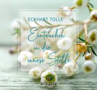 Buch Cover Eintauchen in die innere Stille