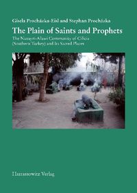 Buch Cover The Plain of Saints and Prophets