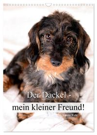 Buch Cover Der Dackel - mein kleiner Freund (Wandkalender 2025 DIN A3 hoch), CALVENDO Monatskalender