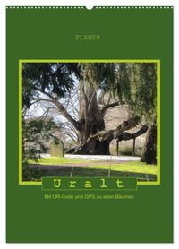 Buch Cover Uralt - Mit QR-Code und GPS zu alten Bäumen (Wandkalender 2025 DIN A2 hoch), CALVENDO Monatskalender