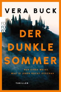 Buch Cover Der dunkle Sommer