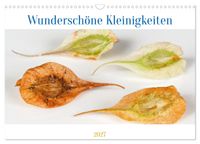 Buch Cover Wunderschöne Kleinigkeiten (Wandkalender 2027 DIN A3 quer), CALVENDO Monatskalender