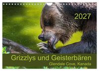 Buch Cover Grizzlys und Geisterbären - Glendale Cove, Kanada (Wandkalender 2027 DIN A4 quer), CALVENDO Monatskalender