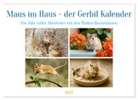 Buch Cover Maus im Haus - der Gerbil Kalender (Wandkalender 2027 DIN A2 quer), CALVENDO Monatskalender