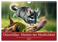 Buch Cover Chinchillas - Meister der Niedlichkeit (Wandkalender 2027 DIN A4 quer), CALVENDO Monatskalender
