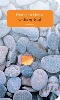 Buch Cover Unterm Rad