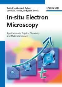 Buch Cover In-situ Electron Microscopy