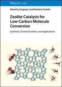 Buch Cover Zeolite Catalysis for Low-Carbon Molecule Conversion