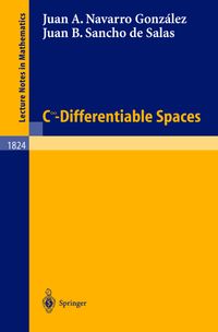 Buch Cover C^\infinity - Differentiable Spaces
