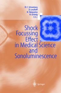 Buch Cover Shock Focussing Effect in Medical Science and Sonoluminescence