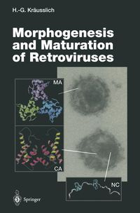 Buch Cover Morphogenesis and Maturation of Retroviruses