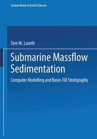 Buch Cover Submarine Massflow Sedimentation