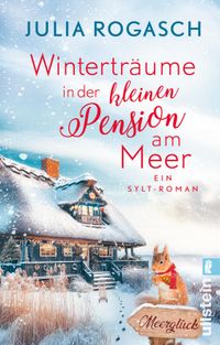 Buch Cover Winterträume in der kleinen Pension am Meer