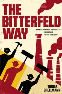 Buch Cover The Bitterfeld Way