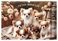 Buch Cover Chiots Chihuahua – Petits miracles (Calendrier mural 2027 DIN A3 vertical), CALVENDO calendrier mensuel