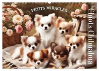 Buch Cover Chiots Chihuahua – Petits miracles (Calendrier mural 2027 DIN A2 vertical), CALVENDO calendrier mensuel