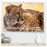 Buch Cover Amazing Cheetahs (High Quality Premium Wall Calendar 2027 DIN A2 landscape),CALVENDO 12 Month Wall Calendar