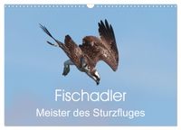 Buch Cover Fischadler - Meister des Sturzfluges (Wandkalender 2027 DIN A3 quer), CALVENDO Monatskalender