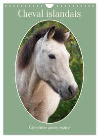 Buch Cover Cheval islandais - Calendrier anniversaire (Calendrier mural 2027 DIN A4 horizontal), CALVENDO calendrier mensuel