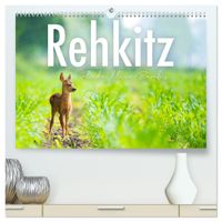 Buch Cover Rehkitz - Flinke kleine Bambis. (hochwertiger Premium Wandkalender 2027 DIN A2 quer), Kunstdruck in Hochglanz