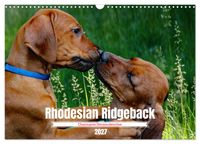 Buch Cover Rhodesian Ridgeback, Charmante Herzensbrecher (Wandkalender 2027 DIN A3 quer), CALVENDO Monatskalender