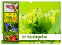 Buch Cover der staudengarten zu bad hersfeld (Wandkalender 2027 DIN A3 quer), CALVENDO Monatskalender