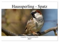 Buch Cover Haussperling - Spatz fotografiert von Ostfriesenfotografie (Wandkalender 2027 DIN A2 quer), CALVENDO Monatskalender