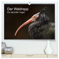 Buch Cover Der Waldrapp - Ein skurriler Vogel (hochwertiger Premium Wandkalender 2027 DIN A2 quer), Kunstdruck in Hochglanz