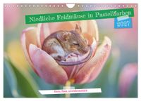 Buch Cover Niedliche Feldmäuse in Pastellfarben (Wandkalender 2027 DIN A4 quer), CALVENDO Monatskalender
