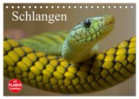 Buch Cover Schlangen (Tischkalender 2027 DIN A5 quer), CALVENDO Monatskalender
