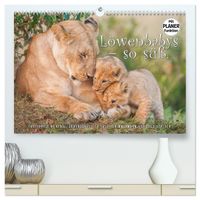 Buch Cover Emotionale Momente: Löwenbabys - so süß. (hochwertiger Premium Wandkalender 2027 DIN A2 quer), Kunstdruck in Hochglanz