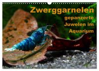 Buch Cover Zwerggarnelen - gepanzerte Juwelen im Aquarium (Wandkalender 2027 DIN A3 quer), CALVENDO Monatskalender