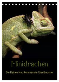 Buch Cover Minidrachen - Die kleinen Nachkommen der Urzeitmonster (Tischkalender 2027 DIN A5 hoch), CALVENDO Monatskalender