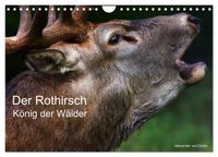 Buch Cover Der Rothirsch, König der Wälder (Wandkalender 2027 DIN A4 quer), CALVENDO Monatskalender