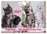Buch Cover Katzen Persönlichkeiten 2027 (Wandkalender 2027 DIN A4 quer), CALVENDO Monatskalender